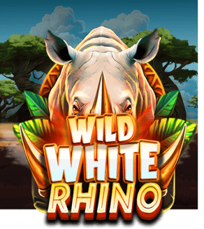 Wild White Rhino